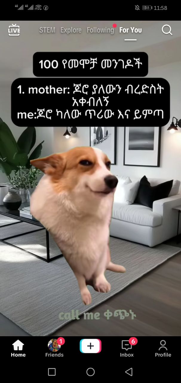 ባጫ ጳጩጭሙ ፳05282፪፻2 8 መመመበፎመ 8ዉ. | መ96ሀ9#2መጸጩመ|- ለነ RKO Ricans @ sesamiae A (mocmrs Ons}.